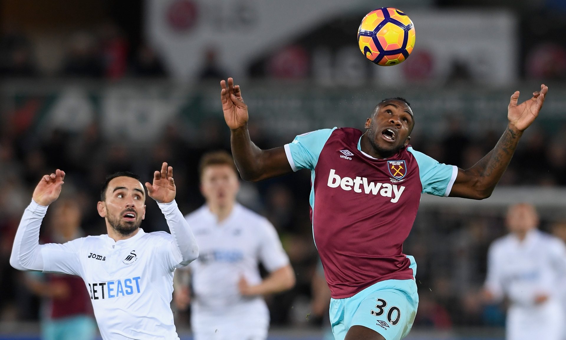 目的运动项 目的运动项